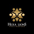 Gold Hexa Lion with Hexagon Lions Head, Abstract emblem logo design concept for template