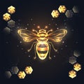 Gold honey bee and of lines, dots, circles and polygons decorated by honeycombs on black background.