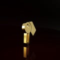 Gold Hotel door lock key icon isolated on brown background. Minimalism concept. 3d illustration 3D render Royalty Free Stock Photo