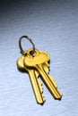 Gold House Keys Keyring Royalty Free Stock Photo