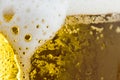 Gold Ice Cold Beer Foam With Bubbles Closeup Royalty Free Stock Photo