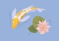 Gold Japanese koi fish swimming in pond with flower. Asian decorative tranquil carp in Japan water garden. Traditional Royalty Free Stock Photo