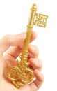 Gold key Royalty Free Stock Photo