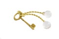 Gold key with the crystal keyring