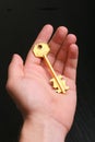 Gold key in hand Royalty Free Stock Photo