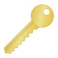 Real gold key icon