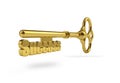 Gold key success concept Royalty Free Stock Photo