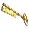 Gold key success concept Royalty Free Stock Photo