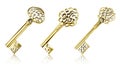 Gold keys Royalty Free Stock Photo