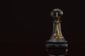 A gold king in black pawn on black background. 3D illustration