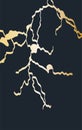 Gold kintsugi cover design vector. Luxury golden marble texture. Crack and broken ground pattern for wall arts, home Royalty Free Stock Photo