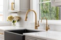 A gold kitchen faucet detail with a black sink. Royalty Free Stock Photo