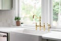 A gold kitchen faucet detail in a cozy green kitchen. Royalty Free Stock Photo