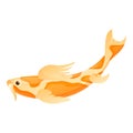 Gold koi icon, cartoon style Royalty Free Stock Photo