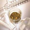 Gold in laboratory glass Royalty Free Stock Photo