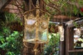 GOLD LANTERN LIGHT Royalty Free Stock Photo