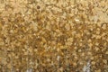 The gold leaf. For the background and textures. Royalty Free Stock Photo