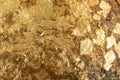 The gold leaf. For the background and textures Royalty Free Stock Photo