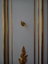 Gold leaf baroque decorations with floral motif