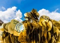 The big buddha statue in Phucket Thailand