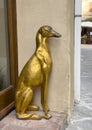 Gold leaf sitting whippet greyhound sculpture flanking a doorway in Pienza, Italy.