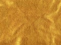 Gold leather texture background Royalty Free Stock Photo