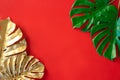 Gold leaves plant tropical monstera and palm pattern frame on a red background.