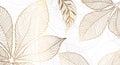 Gold Leaves For The Walls. Background With Golden Leaves Of Chestnut On A White Background. Vector Graphics.
