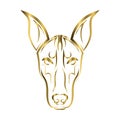 Gold line art of Doberman Pinscher dog head.