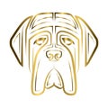 Gold line art of English Mastiff dog head. Good use for symbol, mascot, icon, avatar, tattoo, T Shirt design, logo or any design Royalty Free Stock Photo