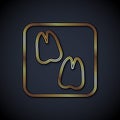 Gold line Camel paw footprint icon isolated on black background. Vector