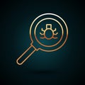 Gold line Flea search icon isolated on dark blue background. Vector