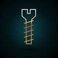 Gold line Metallic screw icon isolated on dark blue background. Vector Illustration