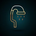 Gold line Pet shower icon isolated on dark blue background. Vector