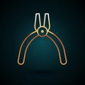 Gold line Pliers tool icon isolated on dark blue background. Pliers work industry mechanical plumbing tool. Vector