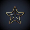 Gold line Starfish icon isolated on black background. Vector Royalty Free Stock Photo