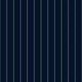 gold lines on blue background, vertical stripes pattern, seamless texture background Royalty Free Stock Photo