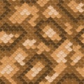 Seamless lizard skin pattern Royalty Free Stock Photo