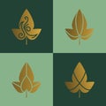 Gold logo design template agriculture and organic farm, tea. Abstract line icons elements badge for food and drink industry. Outli