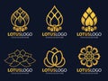 Gold Lotus logo vector illustration art set design Royalty Free Stock Photo