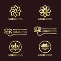 Gold luxury lotus flower logo sign vector set design