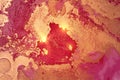 Gold, magenta and pink abstract alcohol ink marble texture Royalty Free Stock Photo