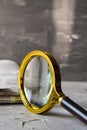 Gold magnifier with wooden handle