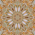 Gold mandala pattern effect pic rays