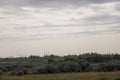 Gold meadow with lonely green trees far away and blue calm tender sky above. Yellow dry grass. Electric poles in the field. Small