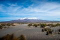 Gold Meadow with Mount Sefton Backdrop at Mount Cook Village.