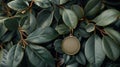 A gold medallion is hanging from a green leafy plant, AI