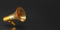 Gold megaphone isolate on black background with copy space for texts. Loudspeaker on dark background. 3D render goden magaphone.