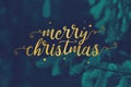 Merry Christmas Script with Evergreen Branches Background