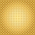 Gold mesh pattern Royalty Free Stock Photo